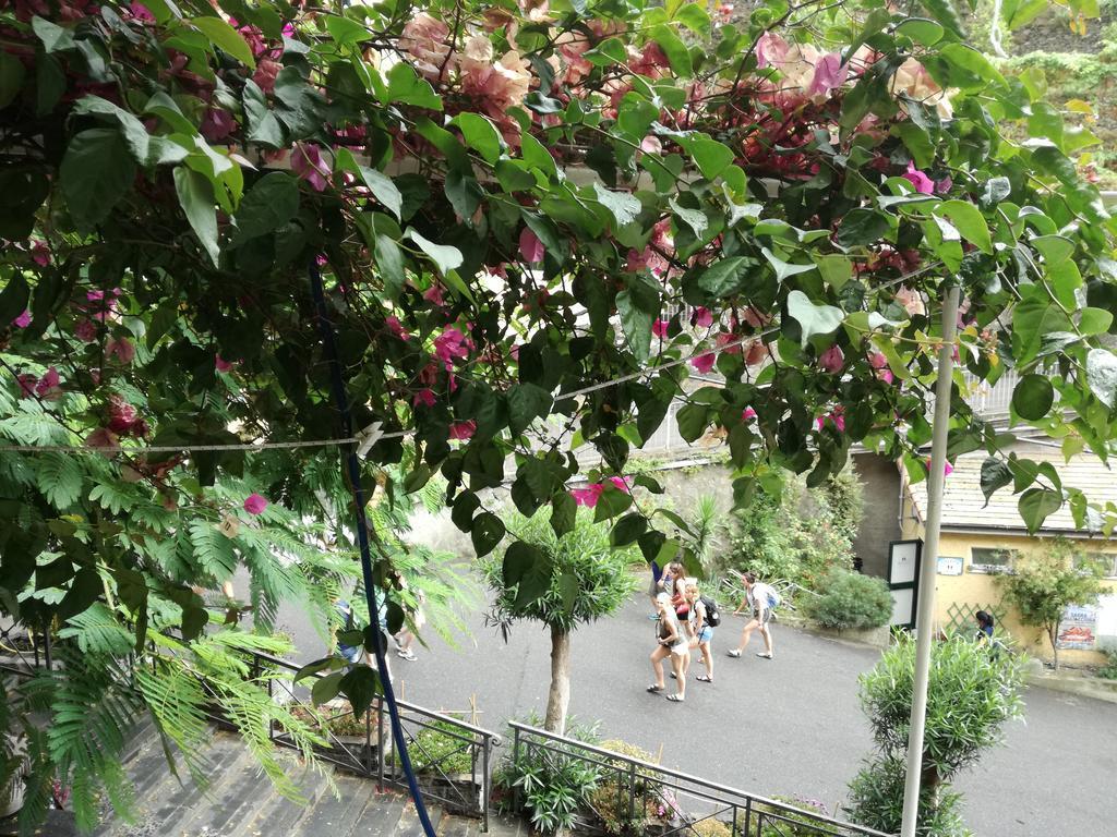 Riomaggiore Appartamenti מראה חיצוני תמונה